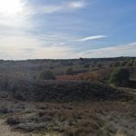 lekkernietperfecte maandoverzicht juli