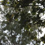 maandoverzicht september