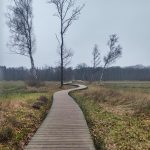 wandelen